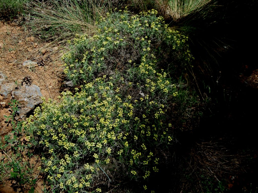 Un giretto sulla Sierra Nevada